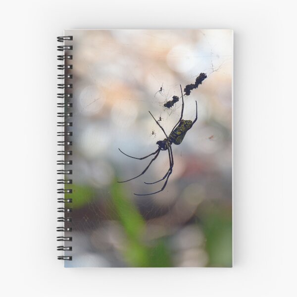 Item preview, Orb Spiders - Sungei Buloh, Singapore (highest resolution and best quality) designed and sold by Pete Klimek.