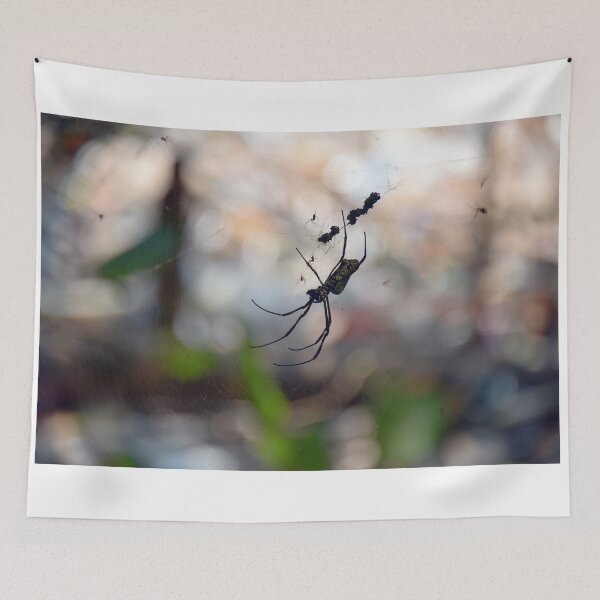Item preview, Orb Spiders - Sungei Buloh, Singapore (highest resolution and best quality) designed and sold by Pete Klimek.