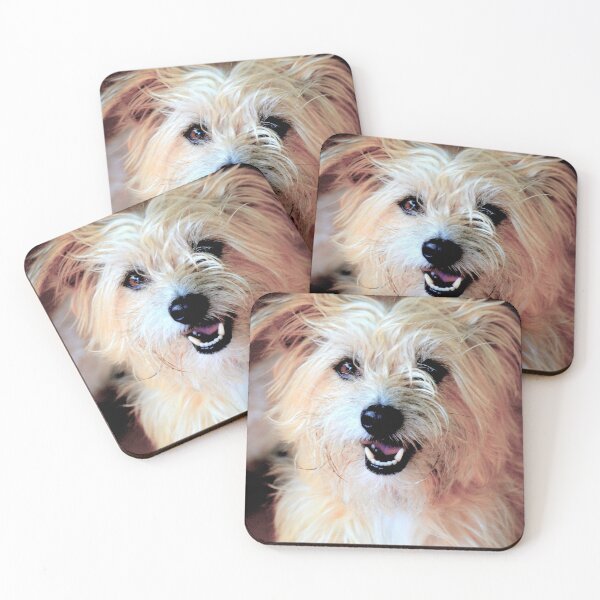 Item preview, A Lovely Little Scruff designed and sold by AH Fotography.