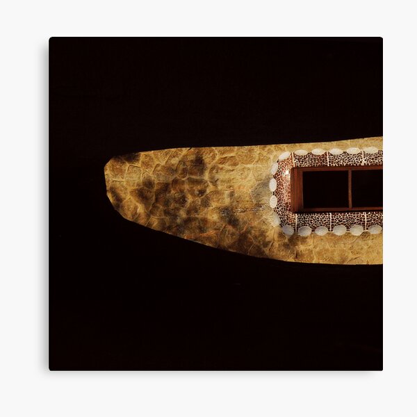 Synantithe Canvas Print