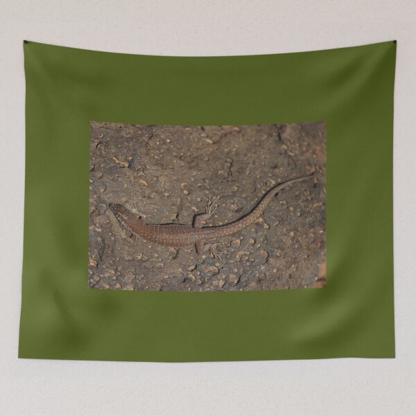 Item preview, Haria Lizard on Rock Nature Lovers Fuerteventura designed and sold by eddiebarronshop.