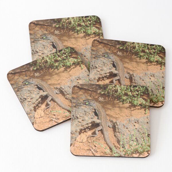 Item preview, Haria Lizard Fuerteventura Nature Lovers designed and sold by eddiebarronshop.