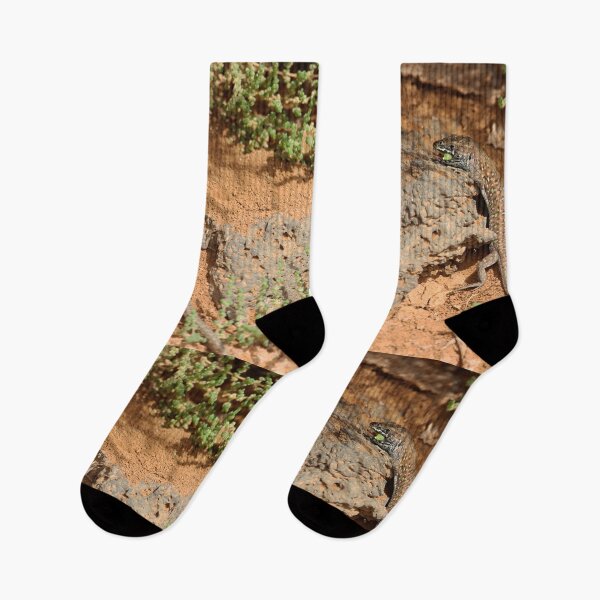Item preview, Haria Lizard Fuerteventura Nature Lovers designed and sold by eddiebarronshop.