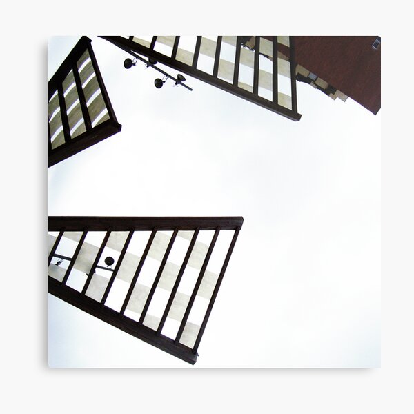 Coming in for noise Metal Print