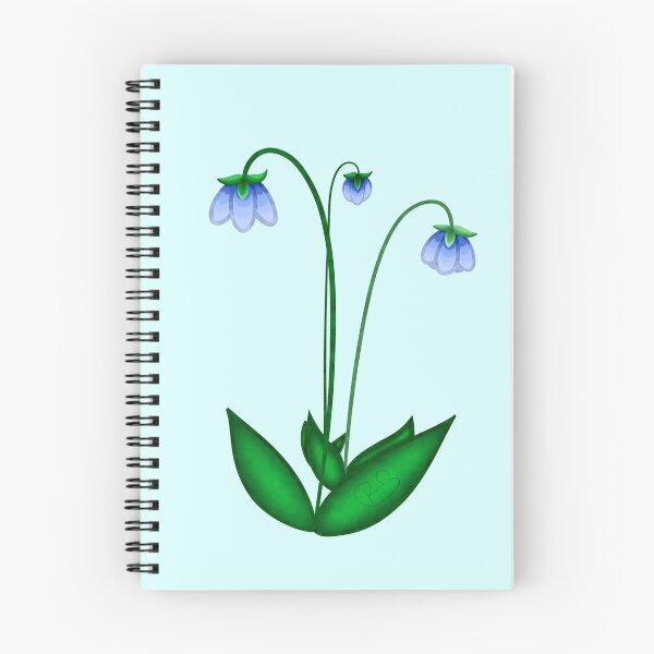 Item preview, Meconopsis quintuplinervia (blue poppy)! designed and sold by Pousse2Bambou.