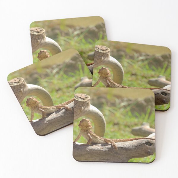 Item preview, Bearded Dragon Reptile Nature Lovers Fuerteventura designed and sold by eddiebarronshop.