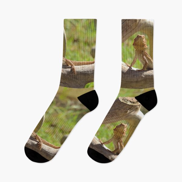 Item preview, Bearded Dragon Reptile Nature Lovers Fuerteventura designed and sold by eddiebarronshop.