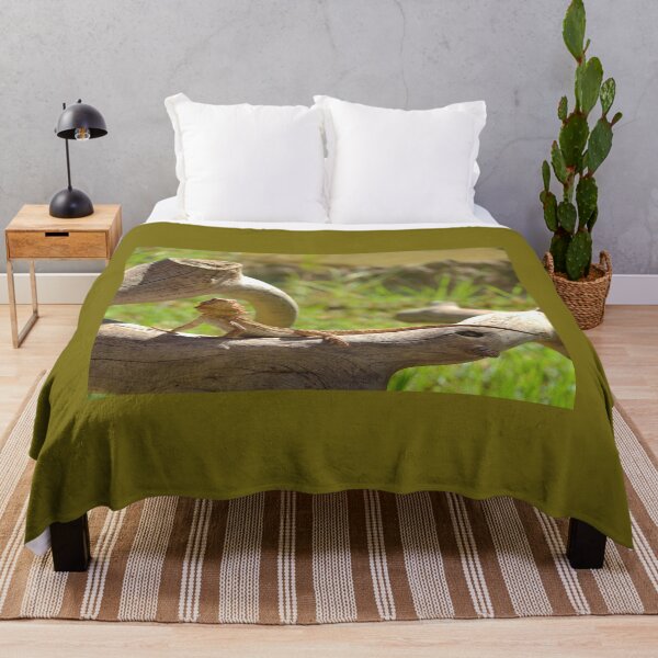 Item preview, Bearded Dragon Reptile Nature Lovers Fuerteventura designed and sold by eddiebarronshop.