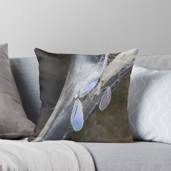 Item preview, Insect wings on crypt designed and sold by 66Pepperwood.