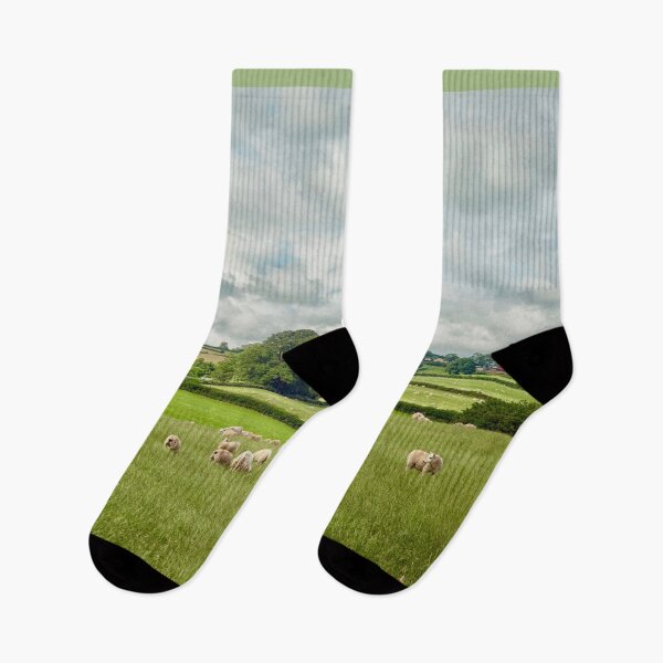 Item preview, Welsh valley with sheep designed and sold by Photopat.