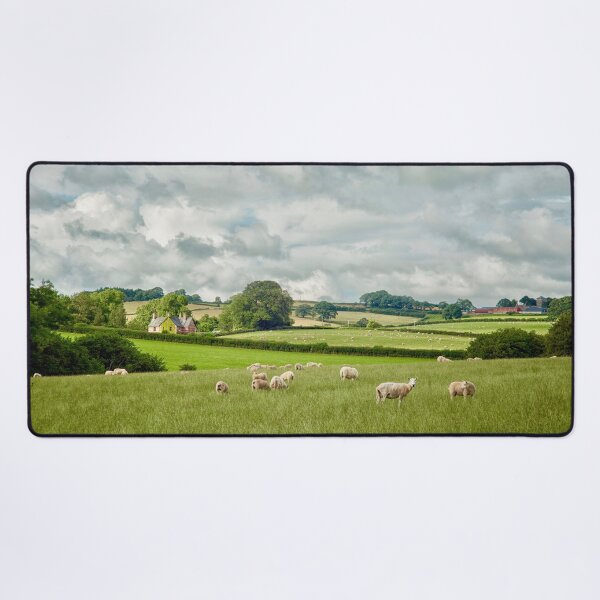 Item preview, Welsh valley with sheep designed and sold by Photopat.
