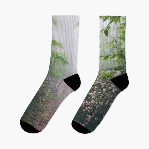 Item preview, Appalachian Trails - Ricketts Glen State Park designed and sold by artcascadia.