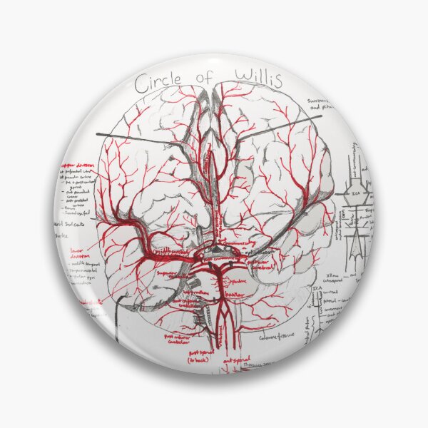 Item preview, Blood Supply of the Brain designed and sold by dr-duncan.