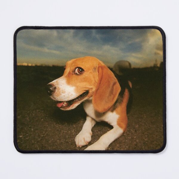 Item preview, Himiko Kikuchi - Flying Beagle (1987) designed and sold by ClaireDelaunay.