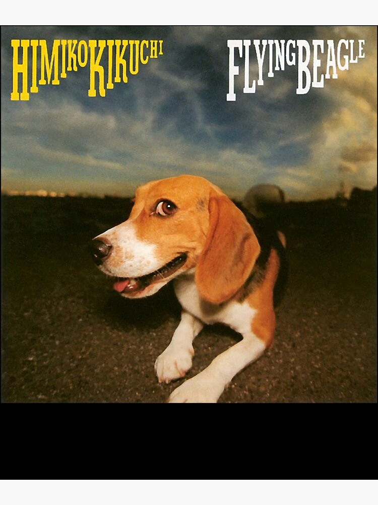 Flying Beagle 1987 Set Of 10 Franklin Mint 1987 World Of Dogs