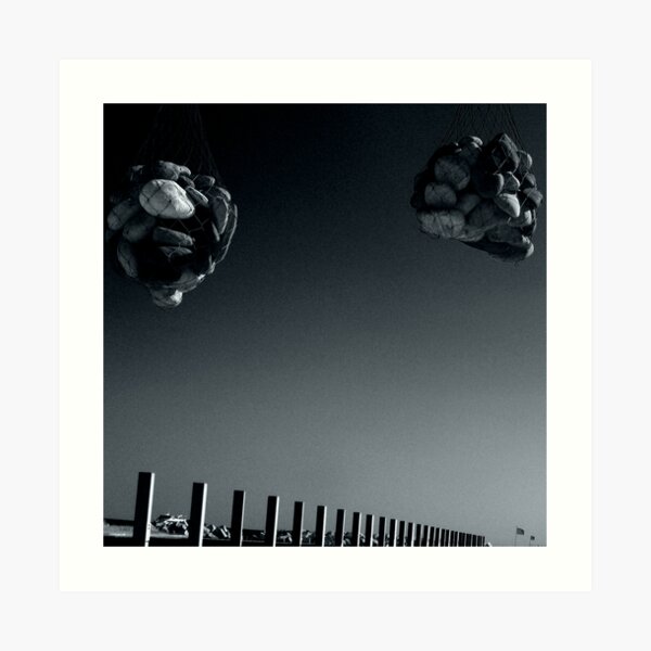 Bluffer Art Print