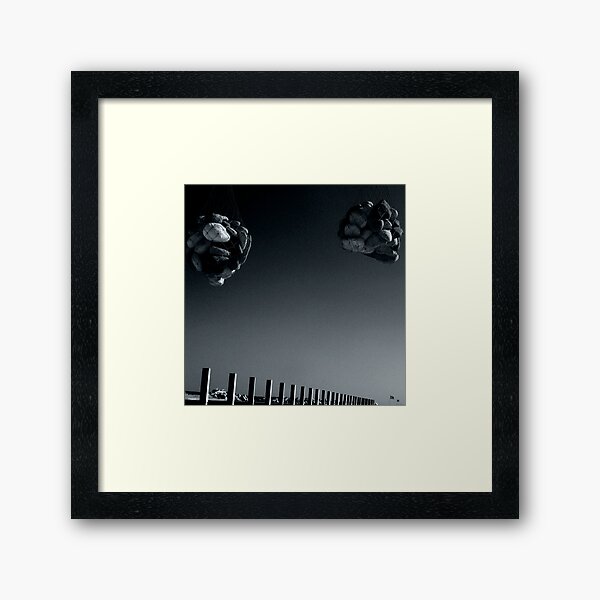 Bluffer Framed Art Print