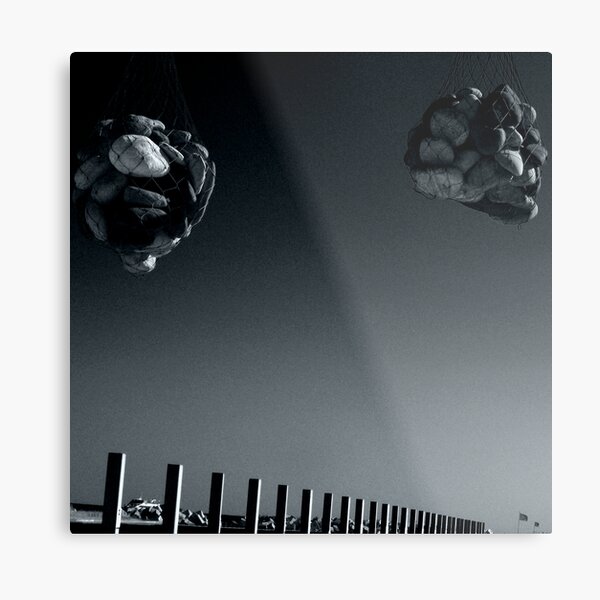 Bluffer Metal Print