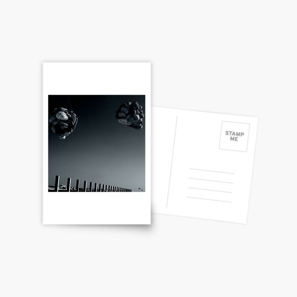 Bluffer Postcard