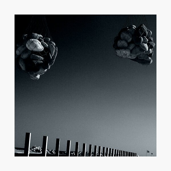 Bluffer Photographic Print