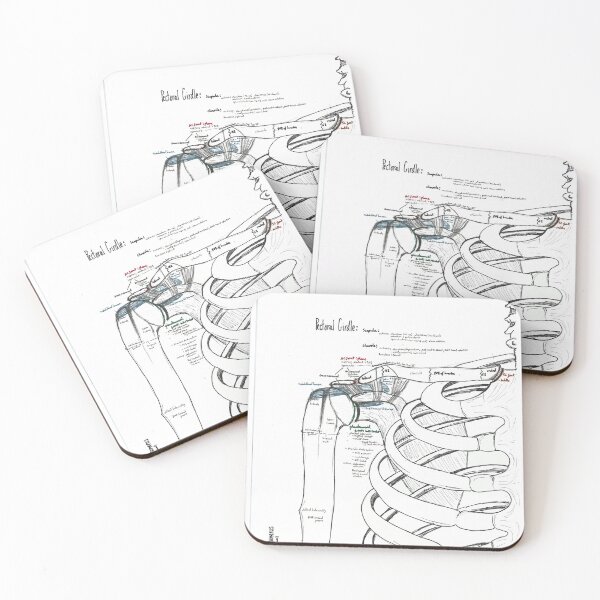 Item preview, Shoulder Ligaments and Bones (pt. 1) designed and sold by dr-duncan.