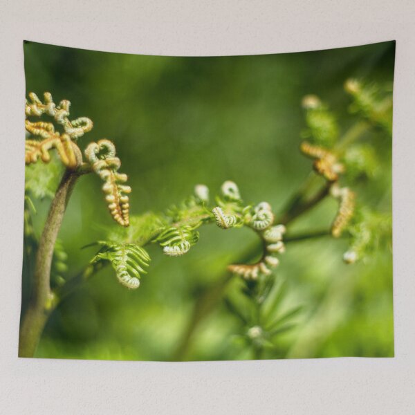 Item preview, A young fern leaf unfolding designed and sold by FOLK ART FUSION by heidiannemorris.