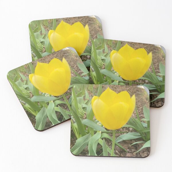 Item preview, Yellow Tulip  designed and sold by Amanda1775.