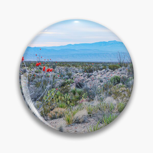 Item preview, Red Desert Blooms designed and sold by Texas Enfocus Photography.