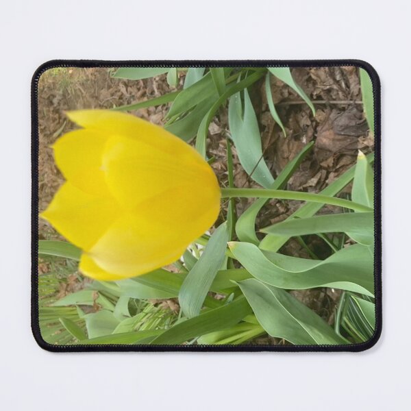 Item preview, Yellow Tulip designed and sold by Amanda1775.