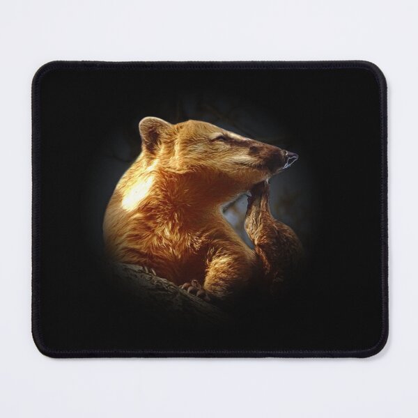 Item preview, Coati designed and sold by Guardi71.