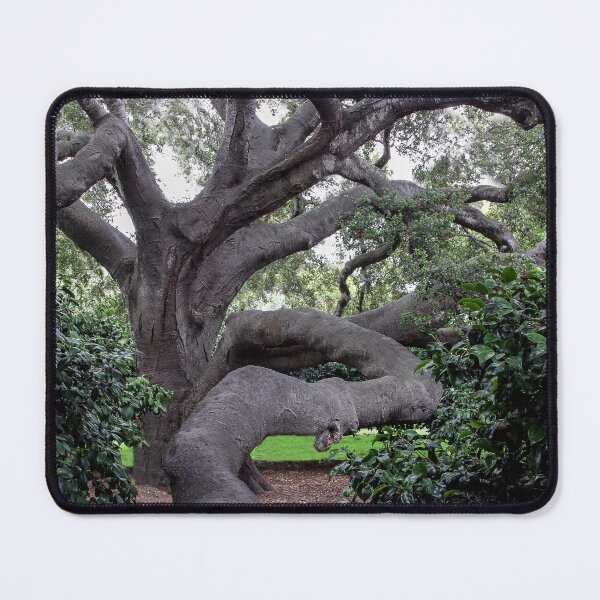 Item preview, Nature's Twists and Turns  designed and sold by heatherfriedman.