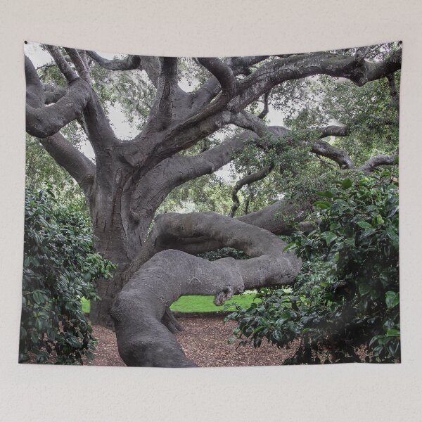 Item preview, Nature's Twists and Turns  designed and sold by heatherfriedman.