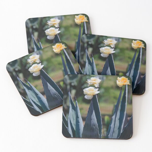 Item preview, Flowering Agave designed and sold by Texas Enfocus Photography.
