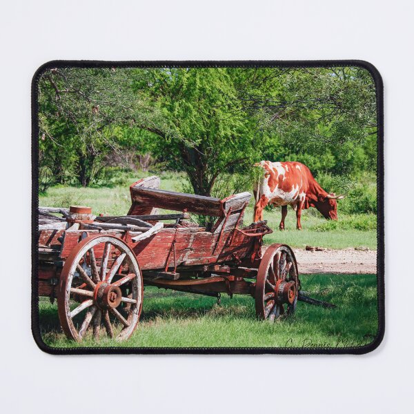 Item preview, Grazing Longhorn designed and sold by Texas Enfocus Photography.
