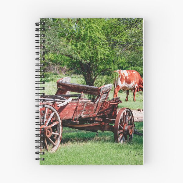 Item preview, Grazing Longhorn designed and sold by Texas Enfocus Photography.