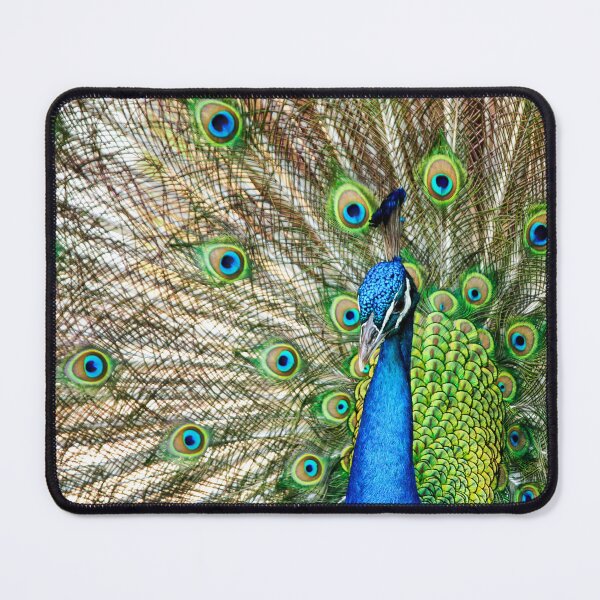 Item preview, Peacock designed and sold by Texas Enfocus Photography.