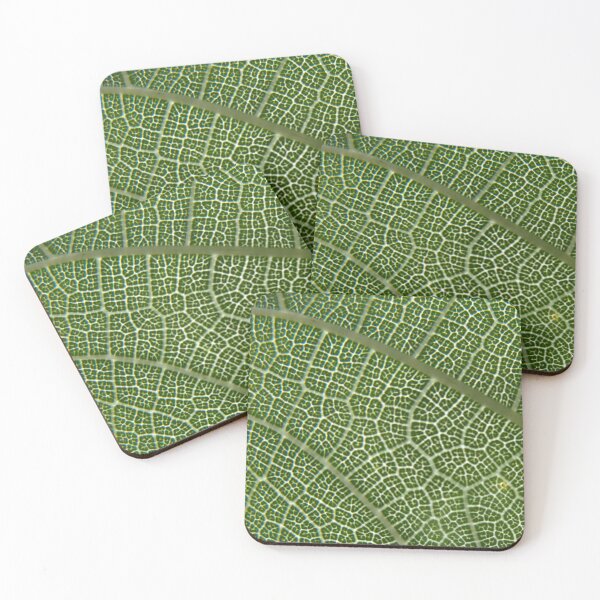 Item preview, Leaf Close Up designed and sold by humblebees3.
