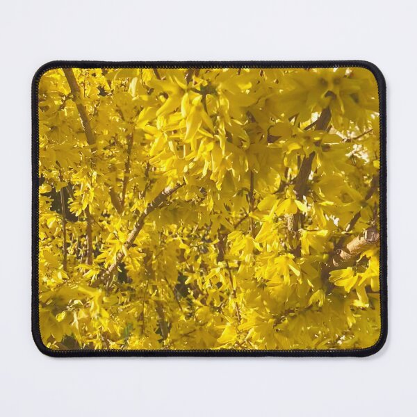 Item preview, Forsythia Closeup designed and sold by Amanda1775.