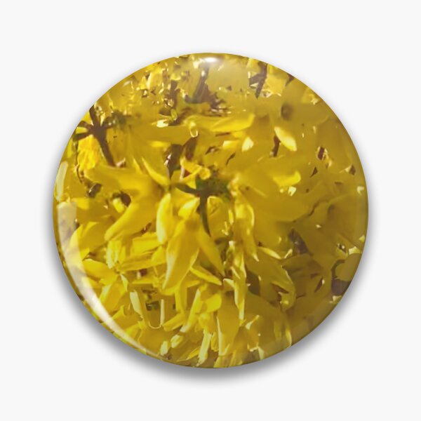 Item preview, Forsythia Closeup designed and sold by Amanda1775.