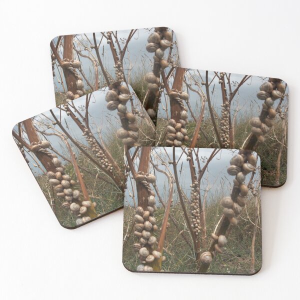 Item preview, Low tide designed and sold by humblebees3.