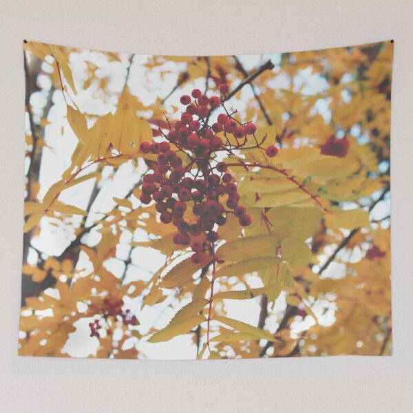 Item preview, Redberry Tree 1a designed and sold by gracelolbunny.