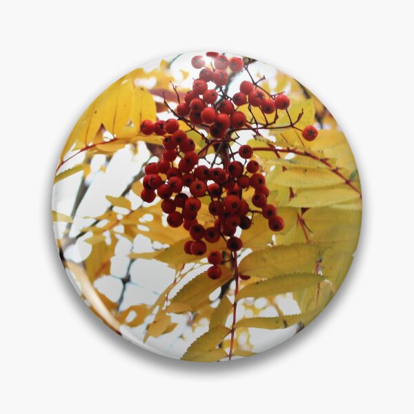 Item preview, Redberry Tree 1b designed and sold by gracelolbunny.