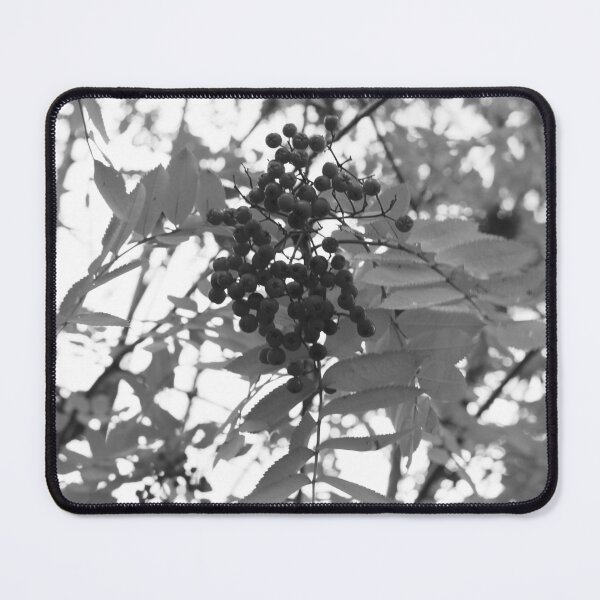 Item preview, Redberry Tree 1 designed and sold by gracelolbunny.
