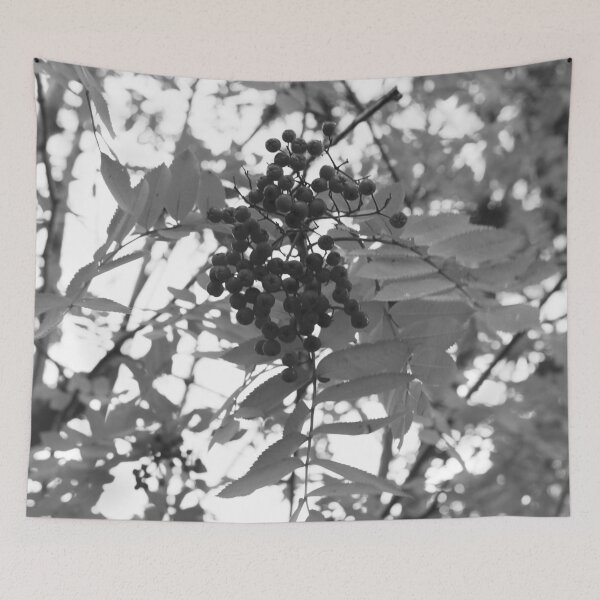 Item preview, Redberry Tree 1 designed and sold by gracelolbunny.