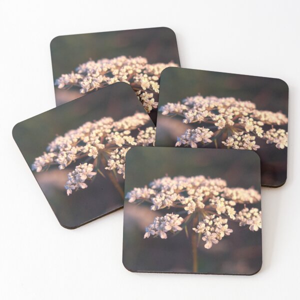 Item preview, queen anne's lace close-up designed and sold by humblebees3.