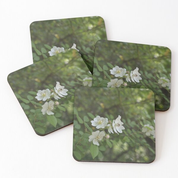 Artikelvorschau, Waldblumen entworfen und verkauft von humblebees3.