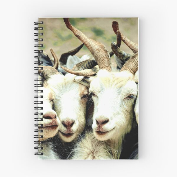 Item preview, Snuggly Goats designed and sold by ontological.