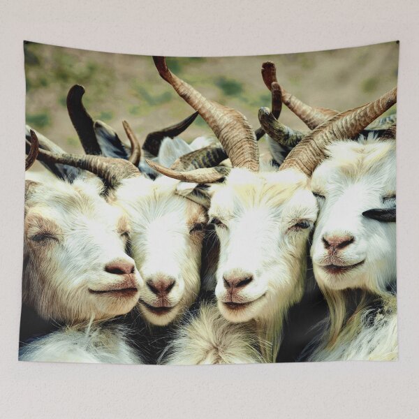 Item preview, Snuggly Goats designed and sold by ontological.