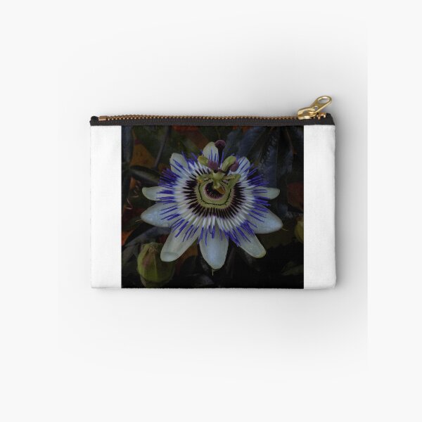 Item preview, Passionflower designed and sold by humblebees3.
