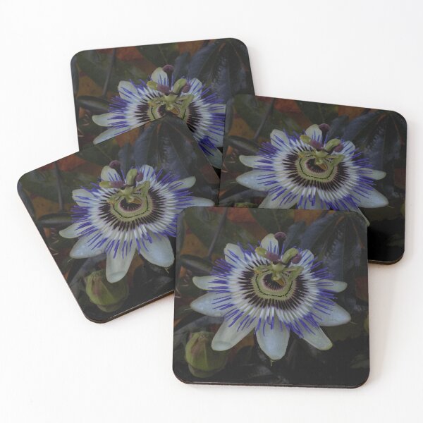 Item preview, Passionflower designed and sold by humblebees3.